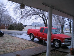 Branches heavy with Ice