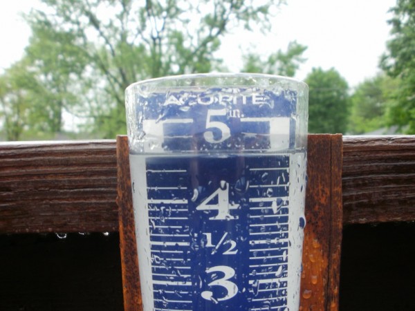 rain gauge