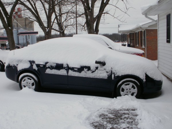 Bump in the Snow